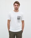 T-shirt in puro cotone con stampa uomo