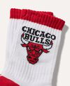 Calza corta Chicago Bulls in cotone stretch