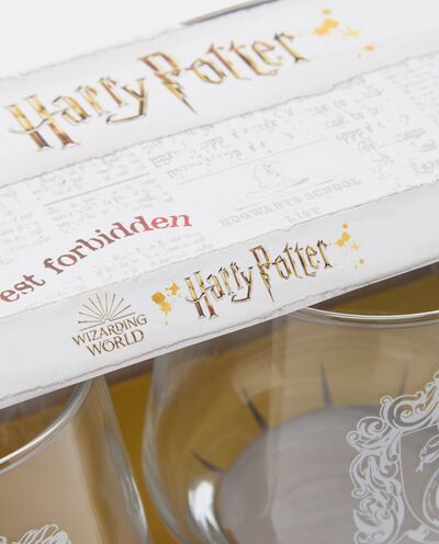 Set 2 bicchieri Harry Potter detail 1