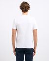 T-shirt girocollo in puro cotone con stampa uomo