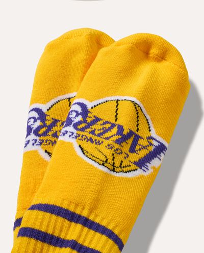 Calza corta Los Angeles Lakers in cotone stretch detail 1