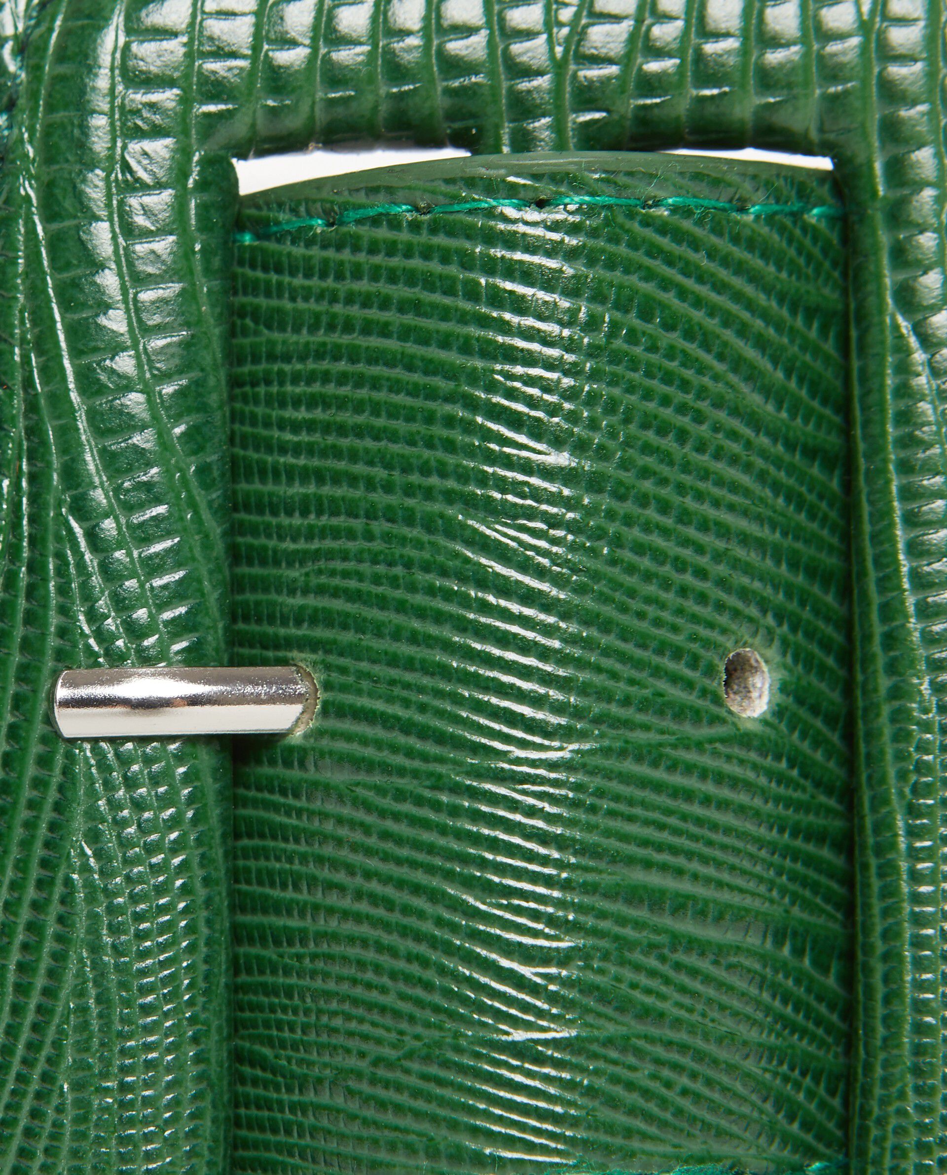 Cintura verde effetto pitone donna