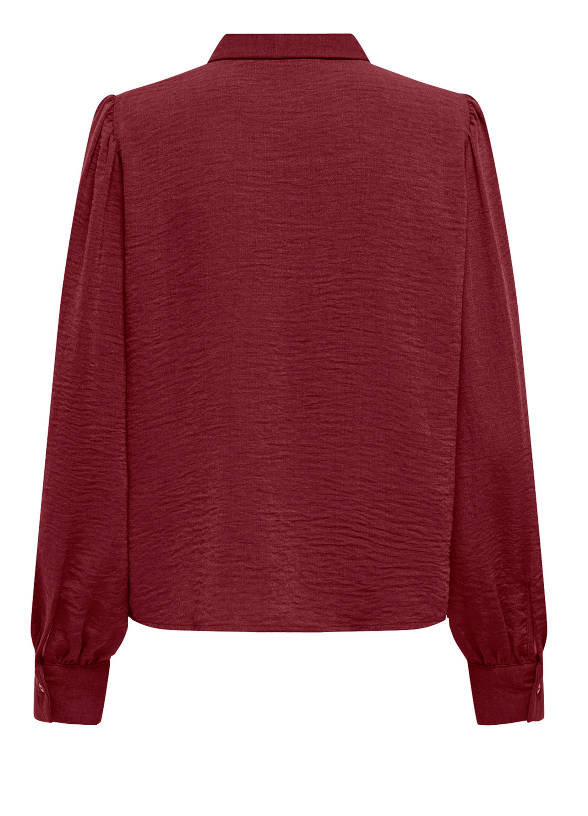 Camicia a maniche lunghe donna_1