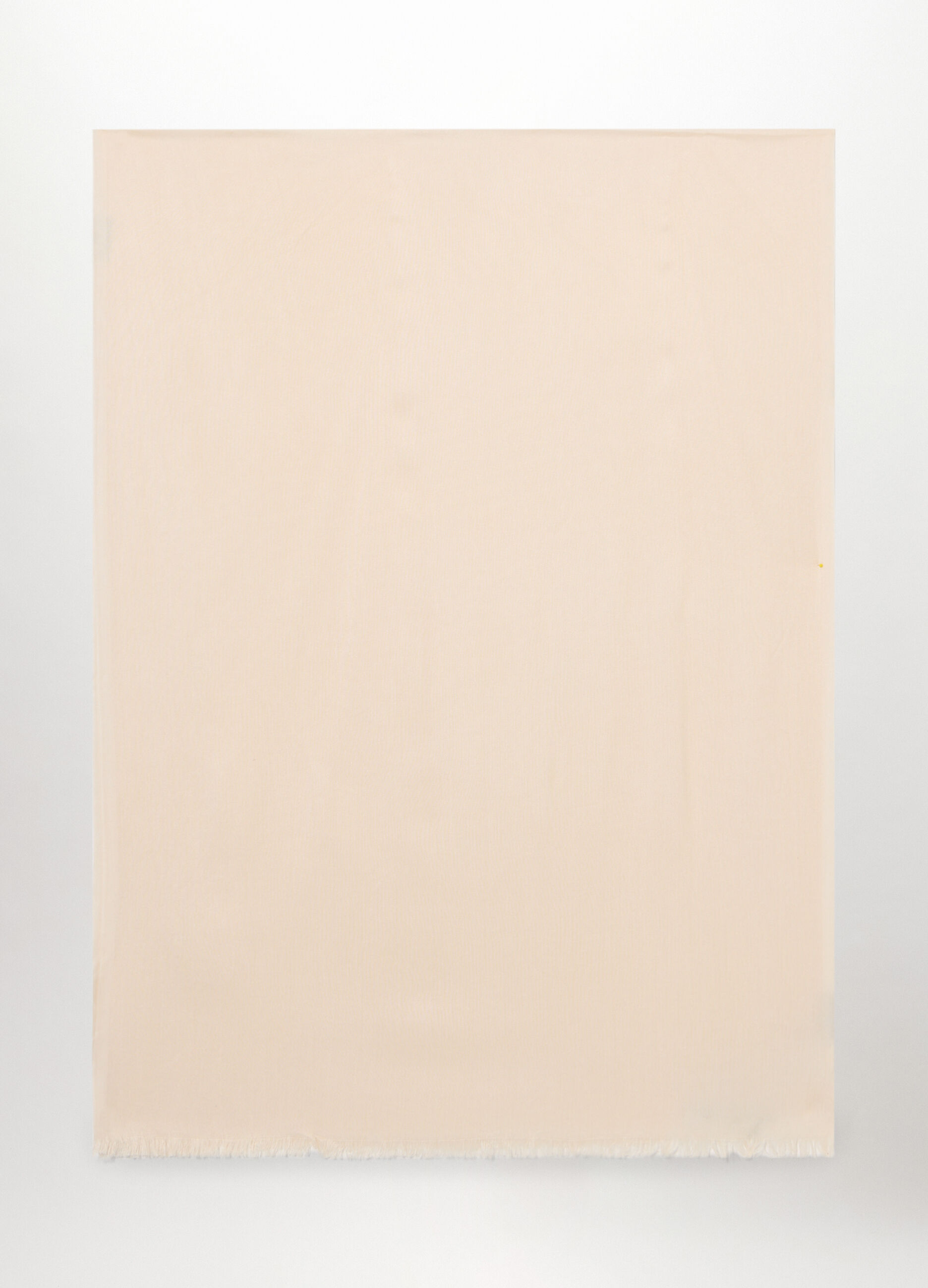 Sciarpa in viscosa tinta unita donna_0