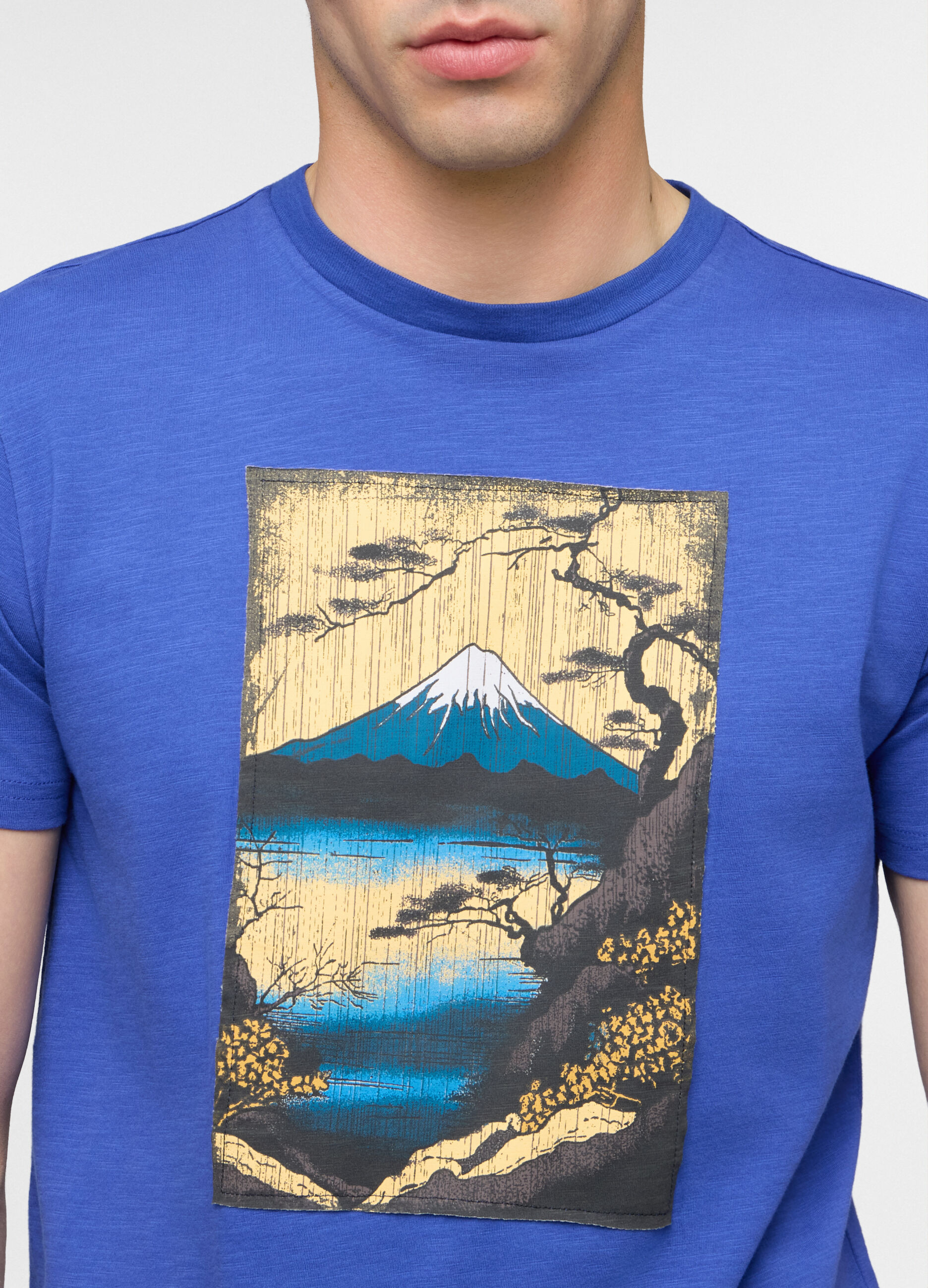 T-shirt in jersey di cotone Monte Fuji uomo_2