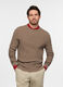 Maglione girocollo in cotone uomo_0