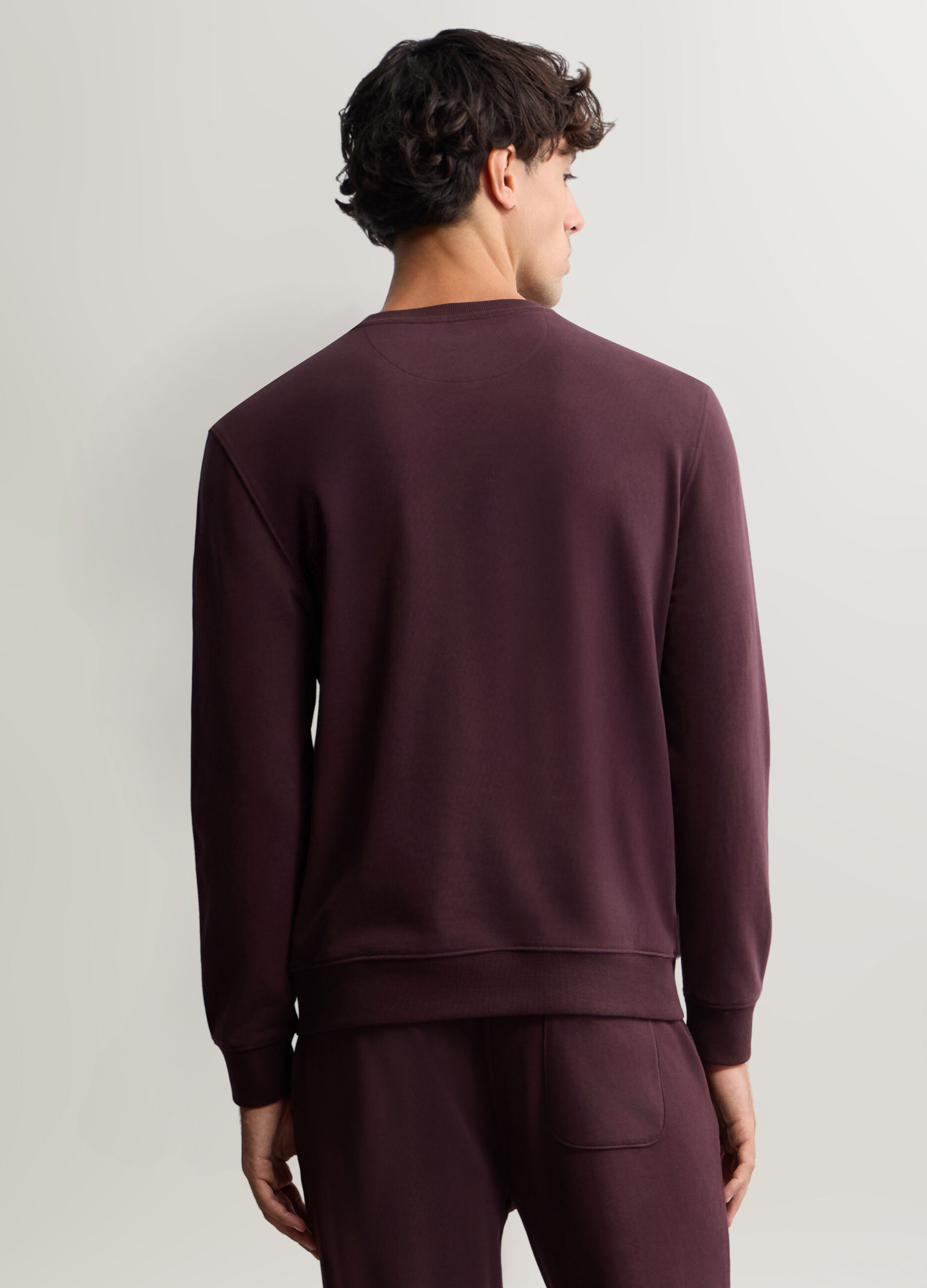 Felpa girocollo in cotone uomo_1