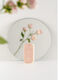 Igienizzante Bright Rose_6