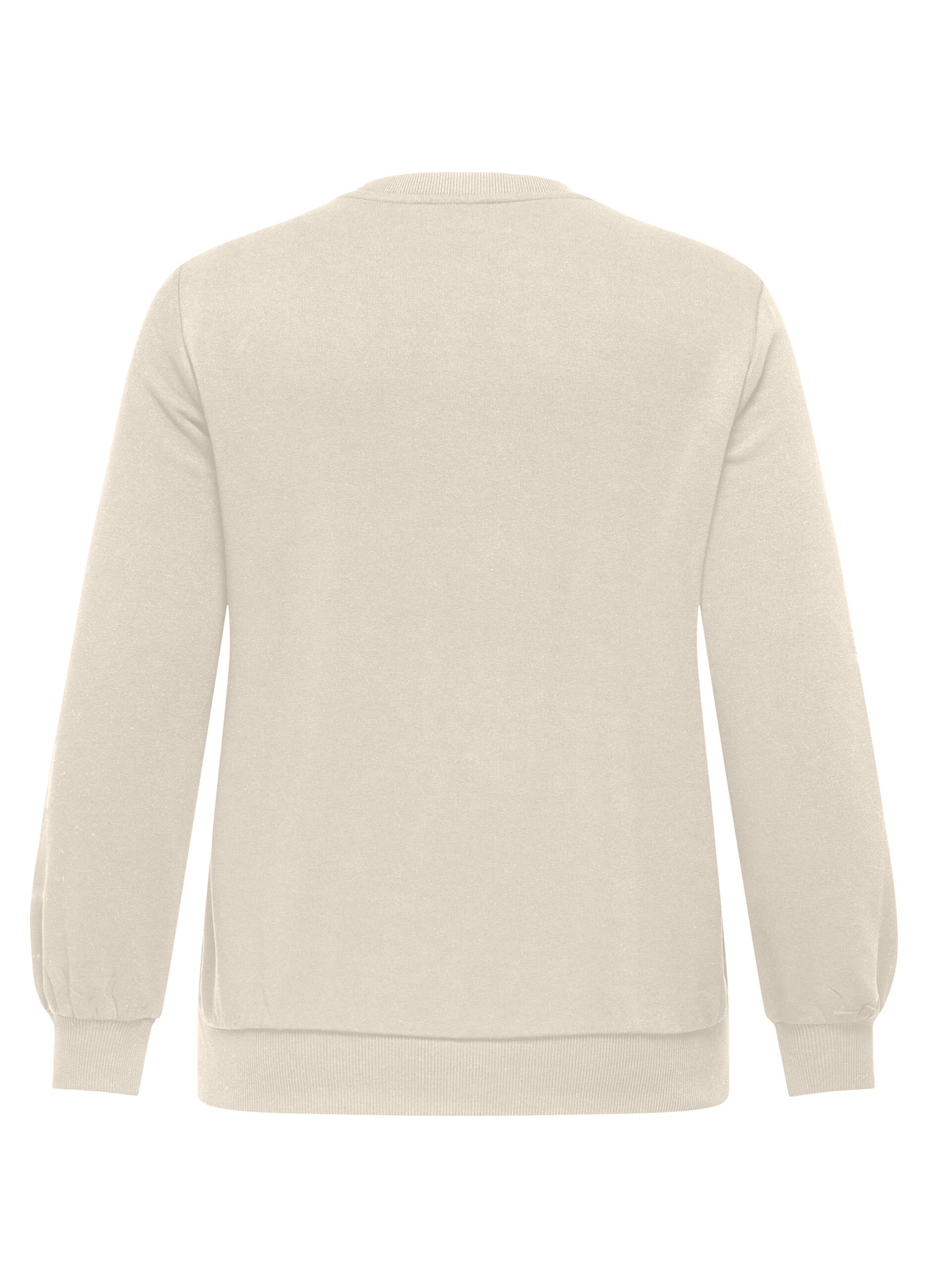 Felpa a maniche lunghe regular fit_1