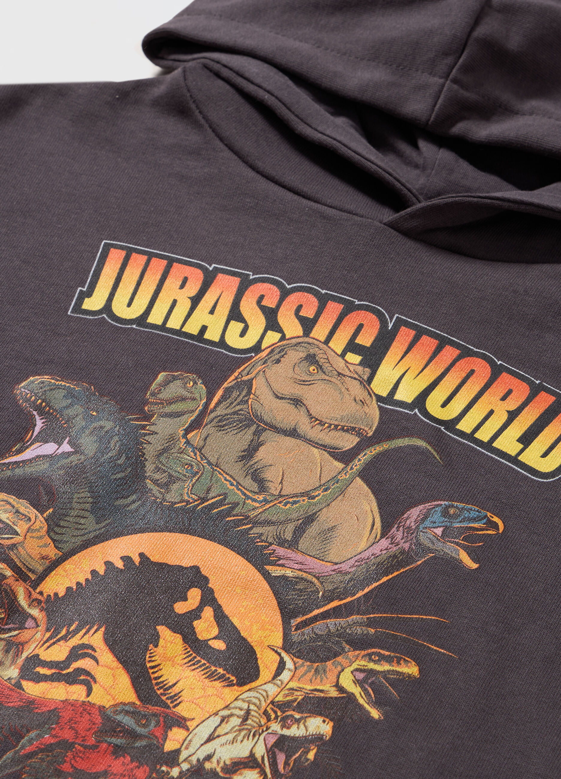 Felpa Jurassic Park con cappuccio in puro cotone bambino_1
