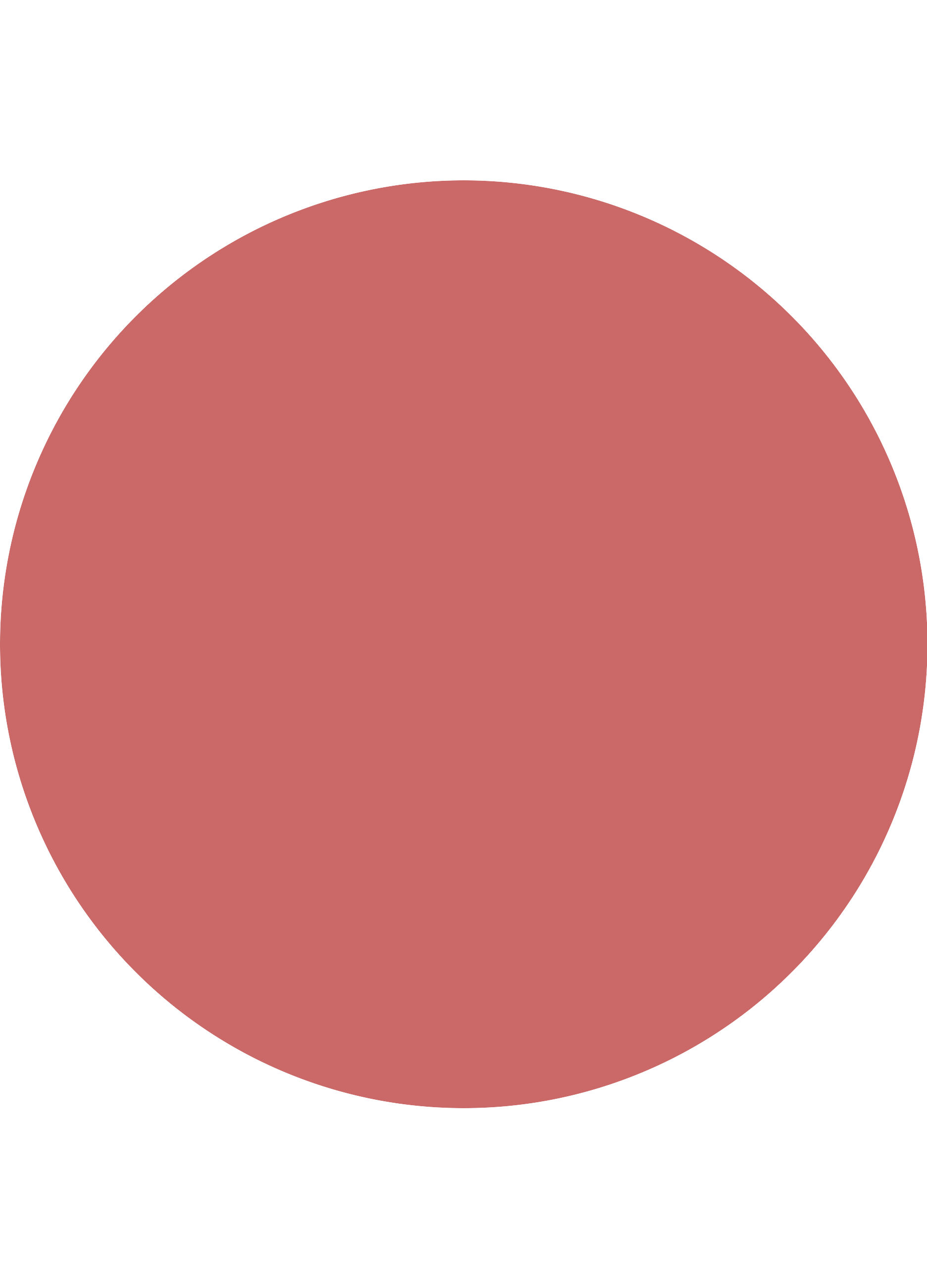 Catrice Plumping Matita Labbra 200_2