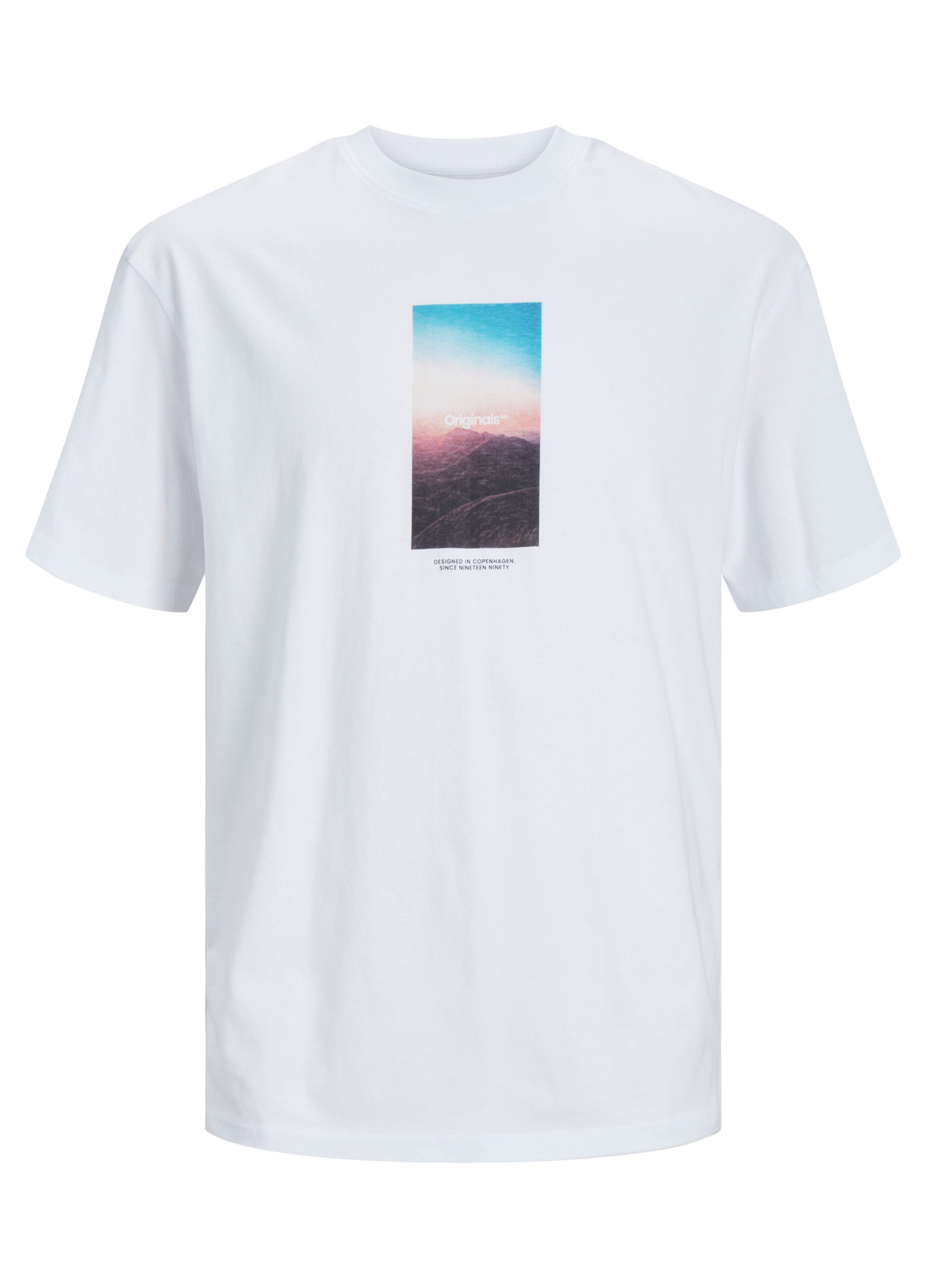T-shirt girocollo con stampa uomo_6
