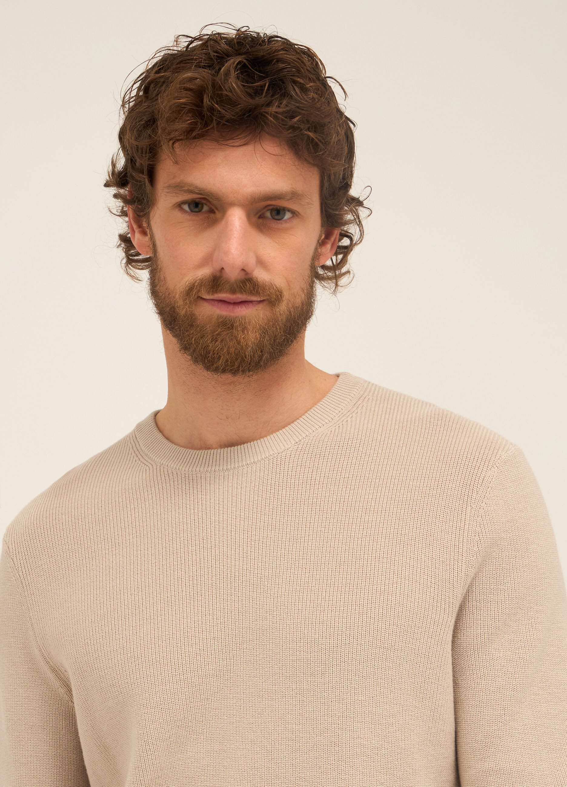 Maglione girocollo in puro cotone uomo_2