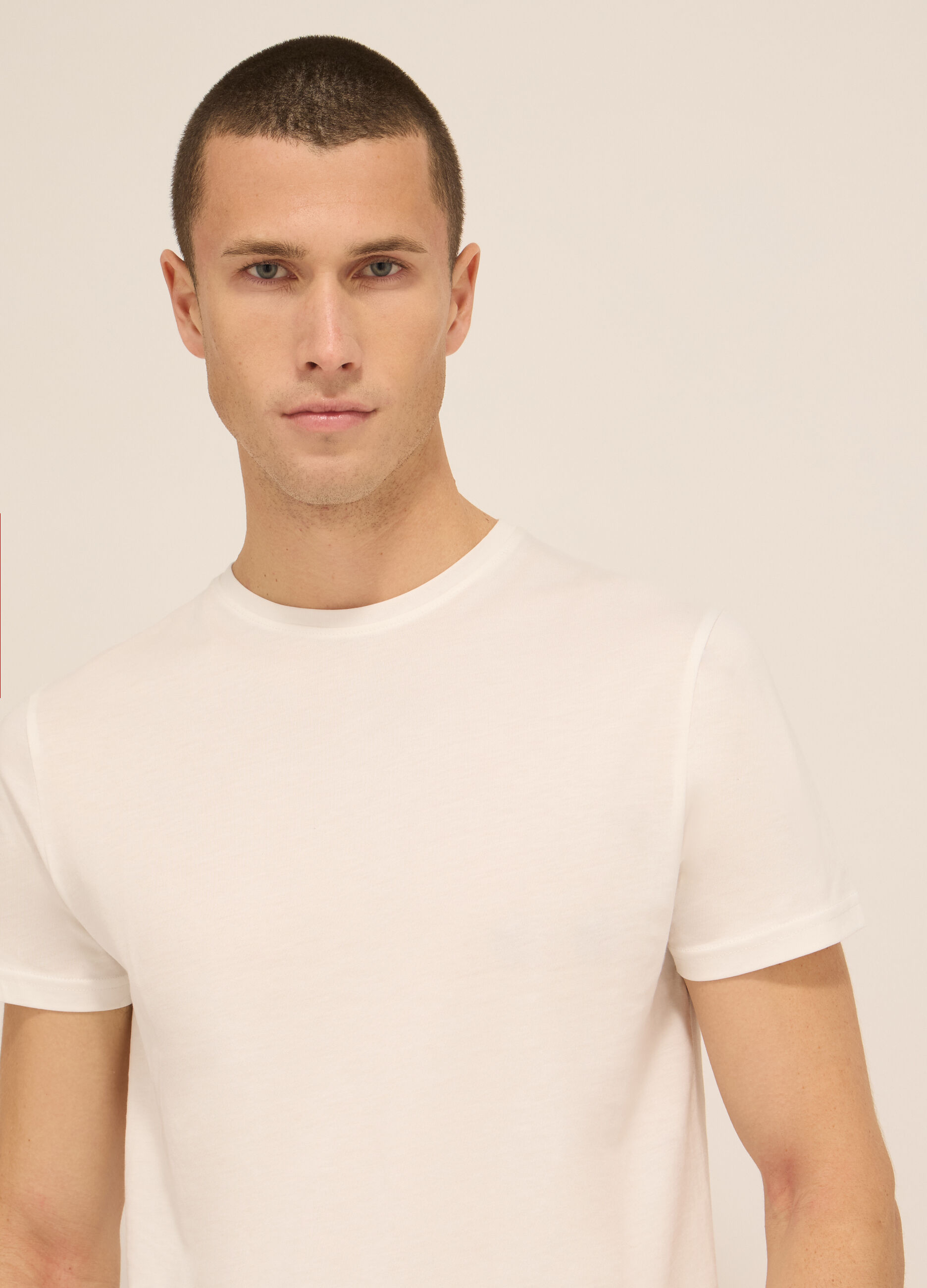 T-shirt girocollo in puro cotone uomo_2
