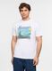 T-shirt girocollo con stampa Van Gogh uomo_0