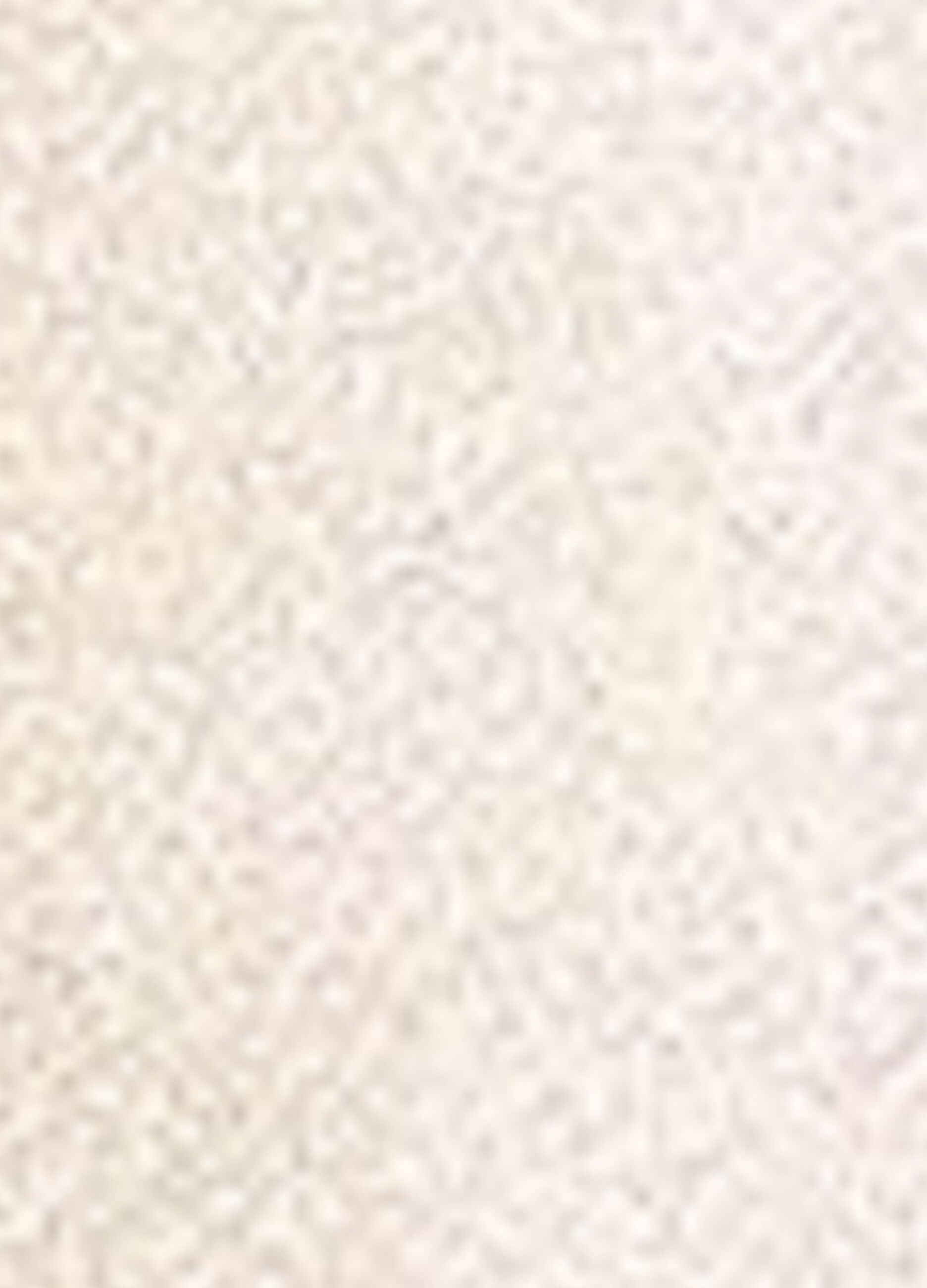 Illuminante liquido Glow Bloom &ndash; Vanilla Frost_3