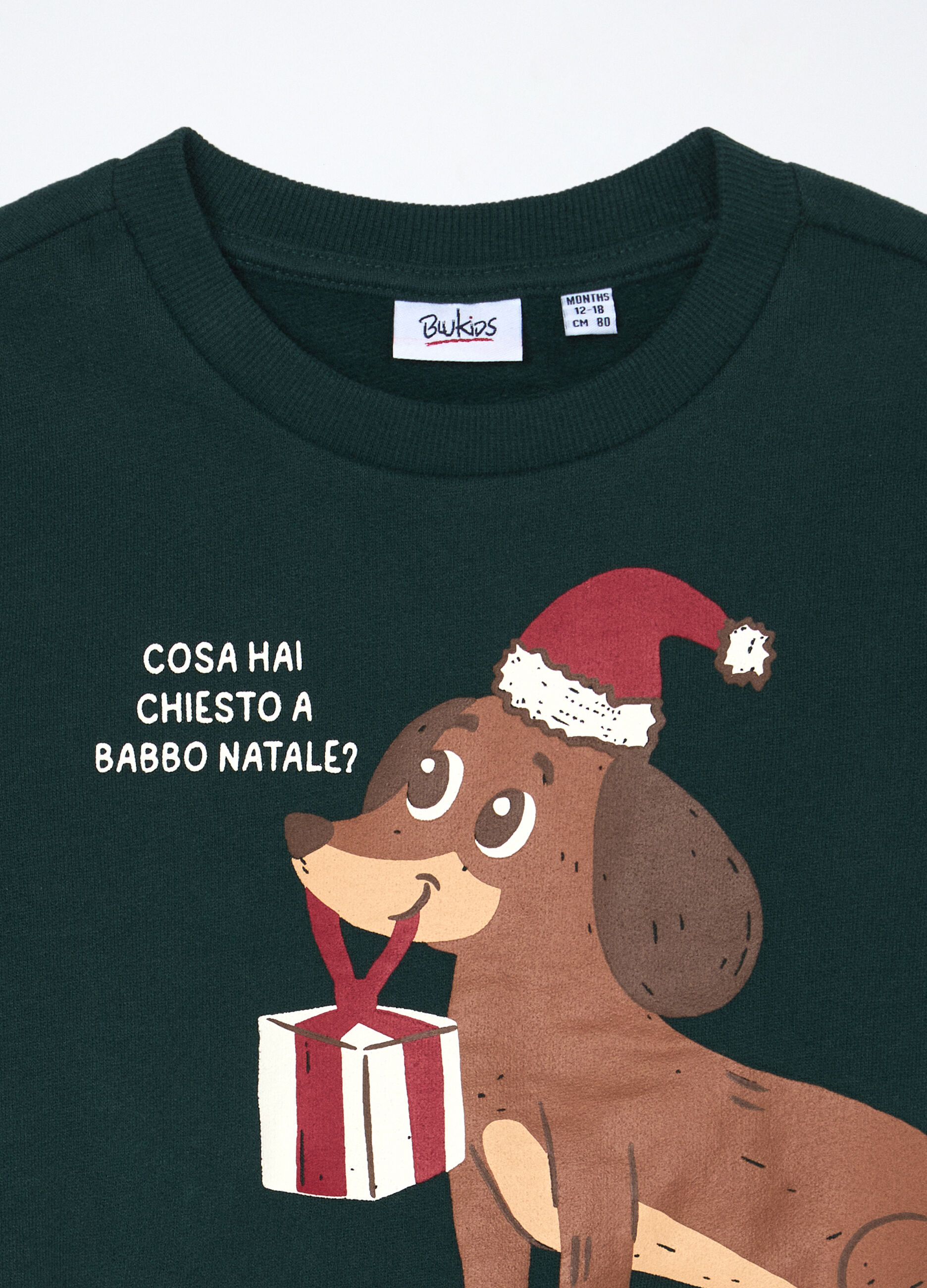 Felpa in puro cotone neonato_2