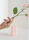 Igienizzante Bright Rose_5