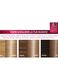 L'Oréal Paris Tinta Capelli Excellence, Copre i capelli bianchi, colore ricco, luminoso e a lunga durata, 8.1 Biondo Chiaro Cenere._3