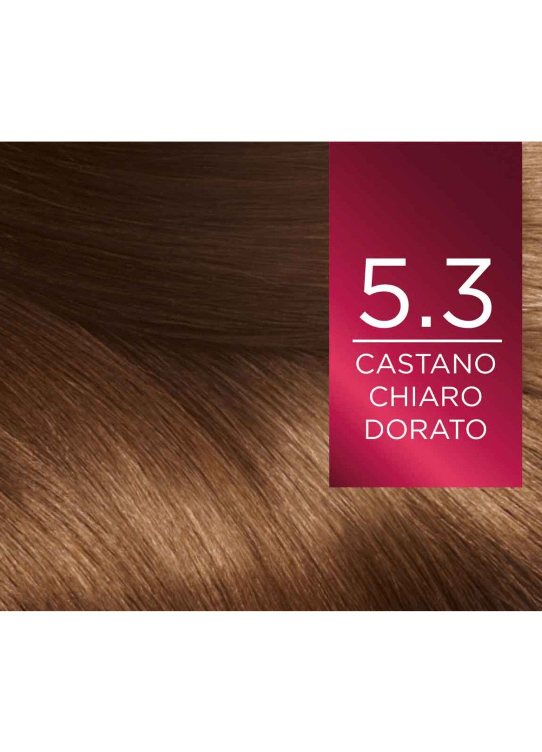 L'Oréal Paris Tinta Capelli Excellence, Copre i capelli bianchi, colore ricco, luminoso e a lunga durata, 5.3 Castano Chiaro Dorato.