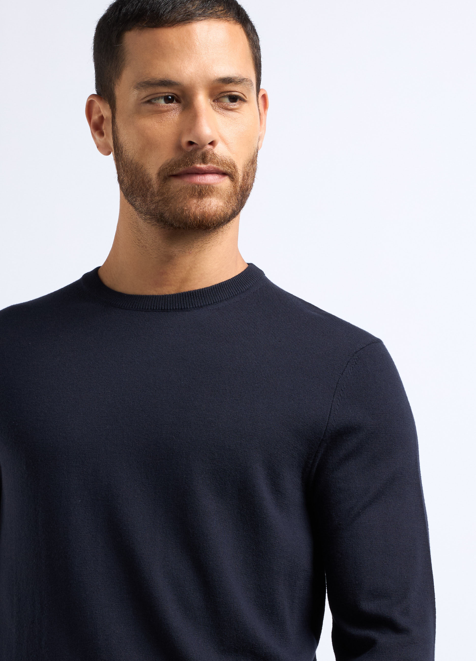 Maglione girocollo misto cotone uomo_2