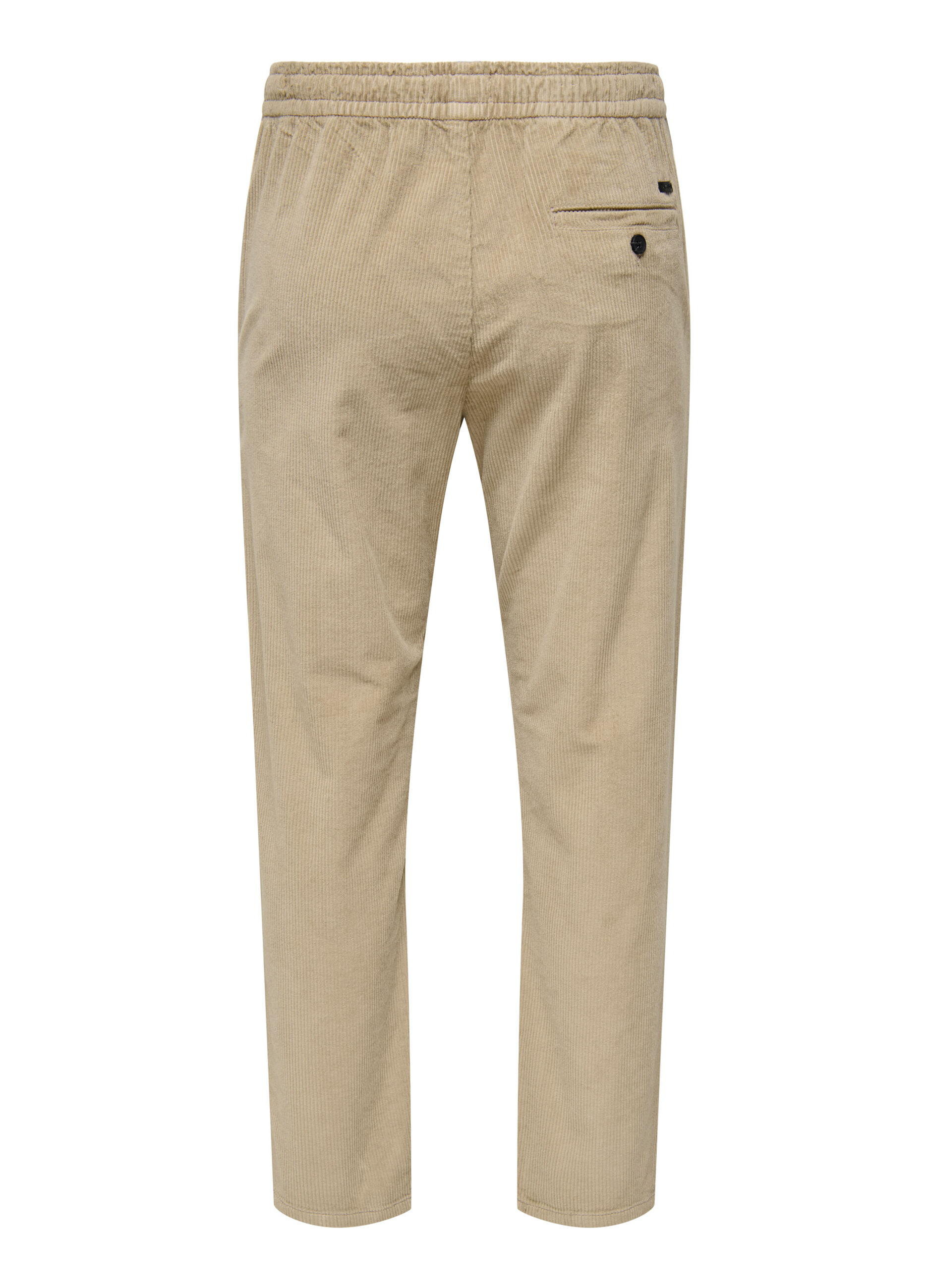 Pantaloni regular fit in velluto a coste uomo_6