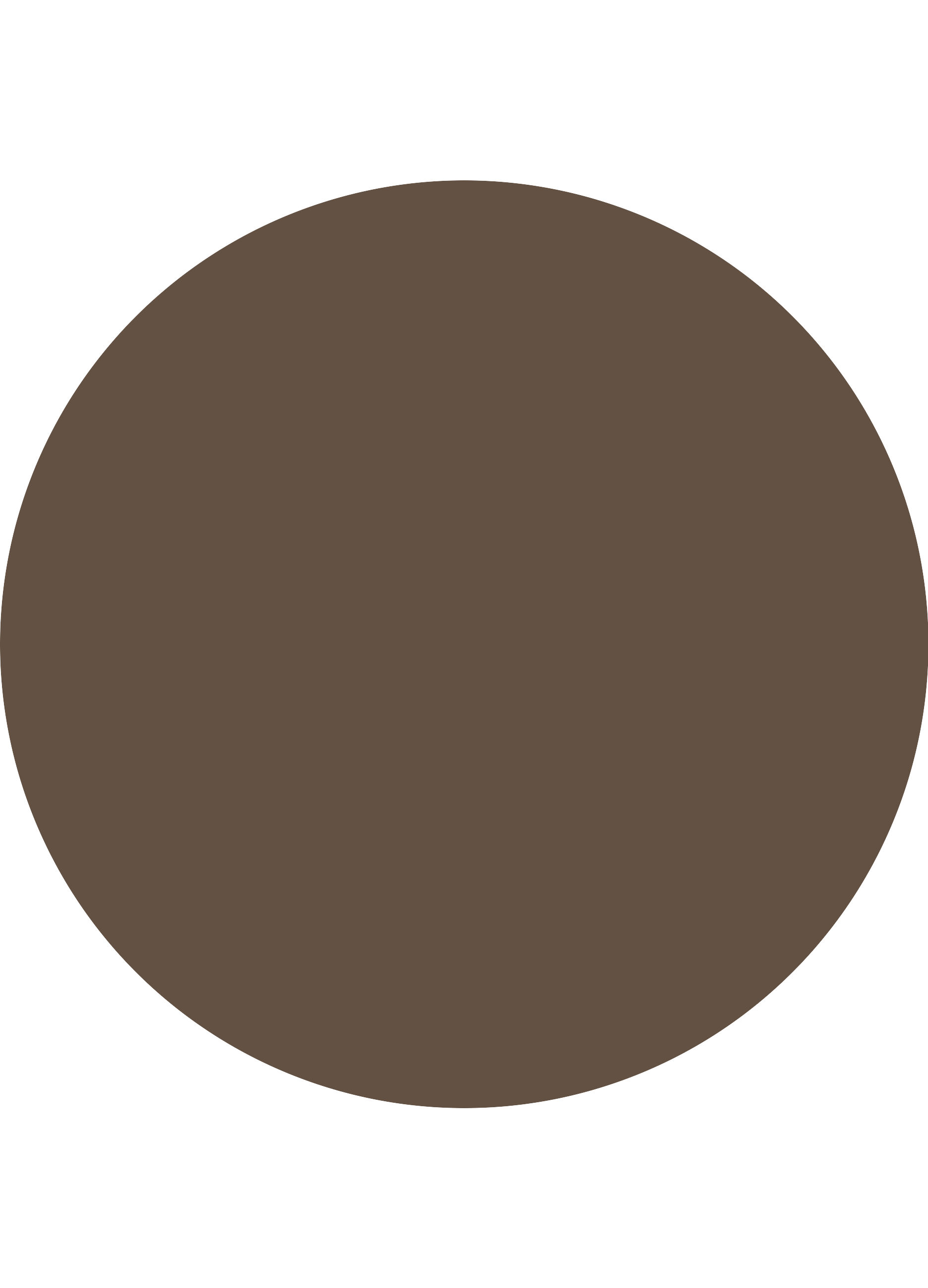 Essence LASH PRINCESS false lash effect mascara BLACK BROWN_4