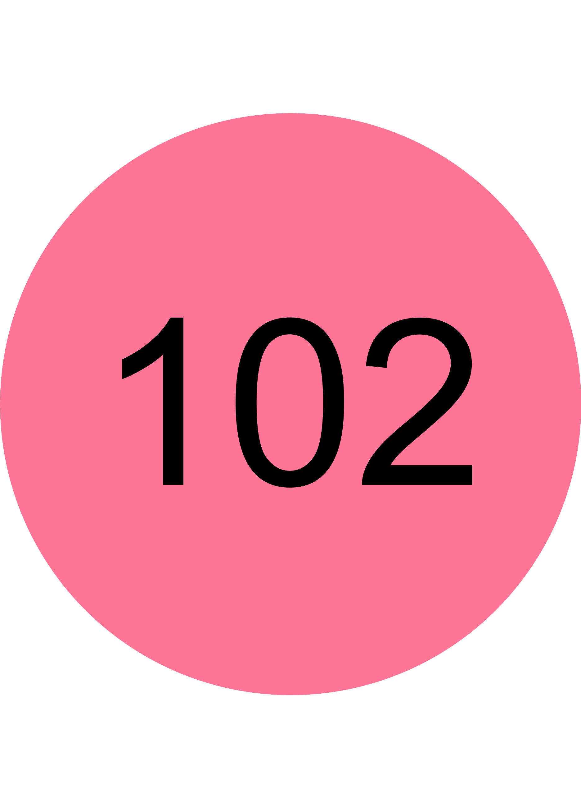 Essence WHAT THE FAKE! PLUMPING lucidalabbra 102_5