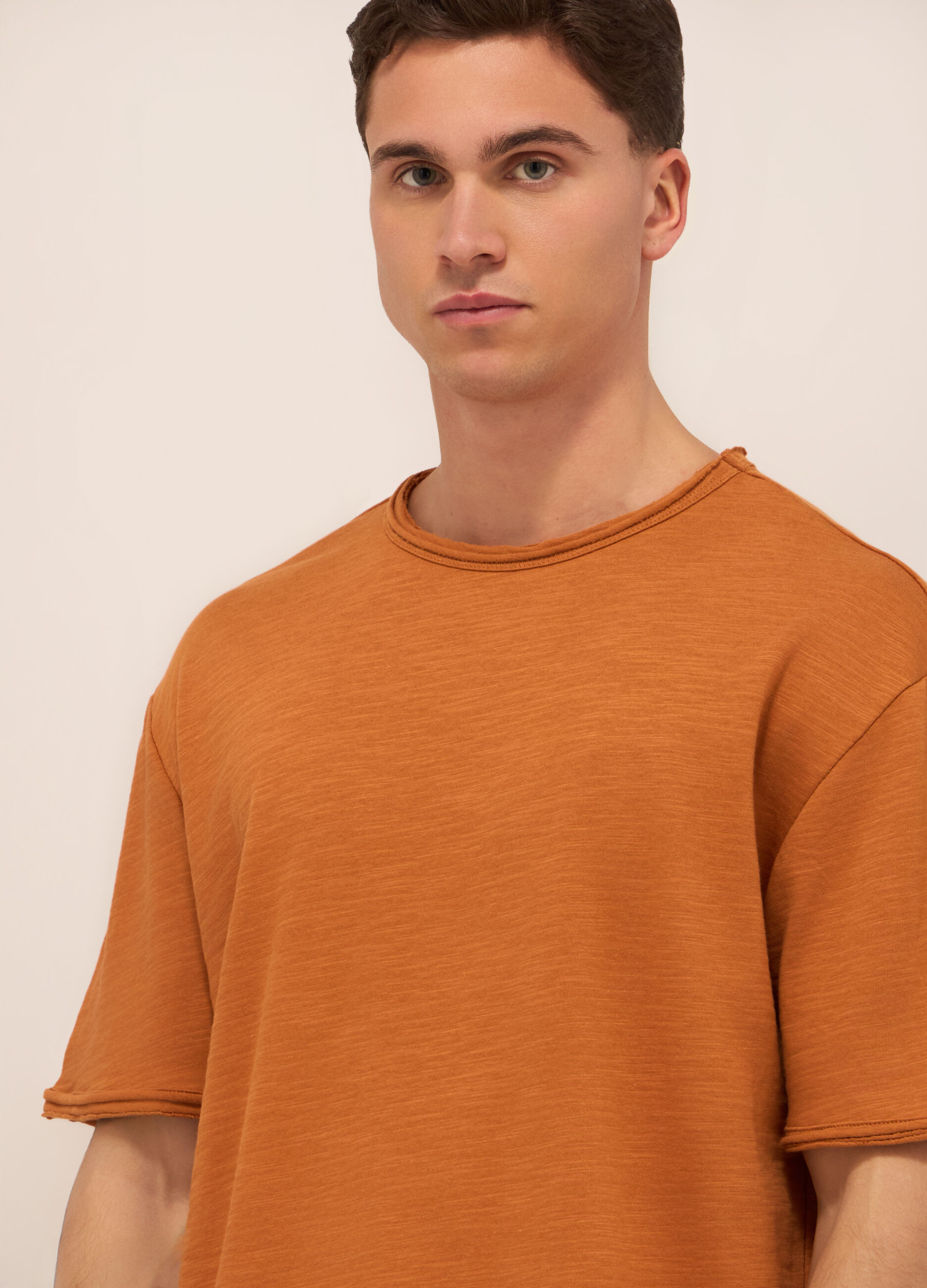 T-shirt girocollo in jersey di cotone uomo_2