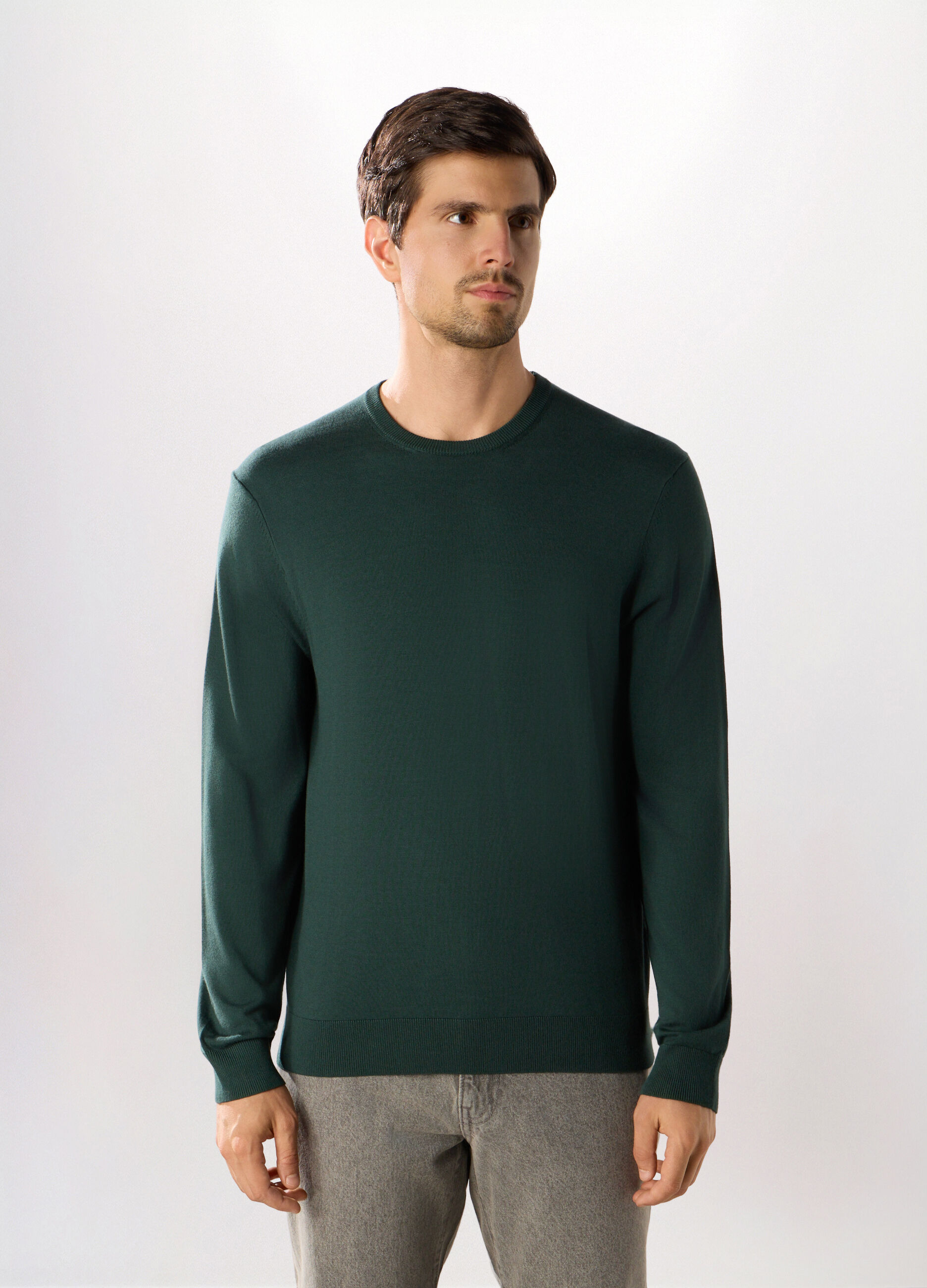 Maglione girocollo in misto viscosa uomo_0
