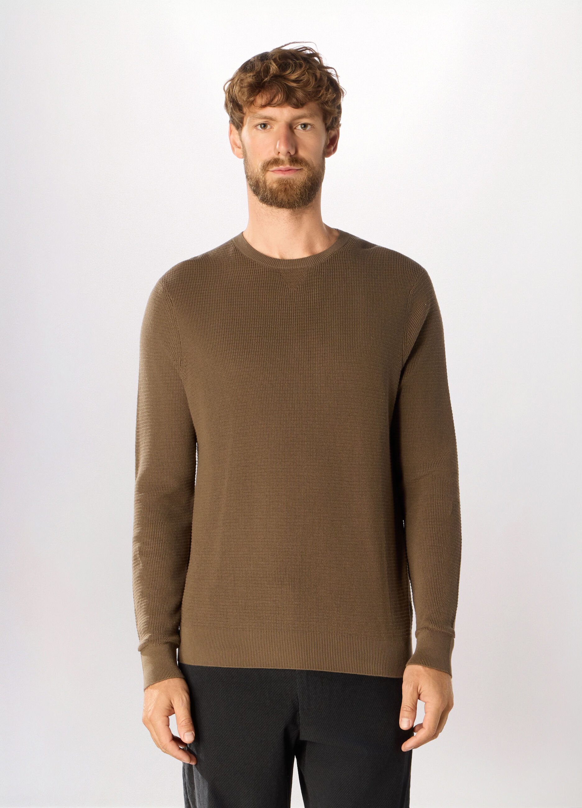 Maglione girocollo in cotone uomo_0