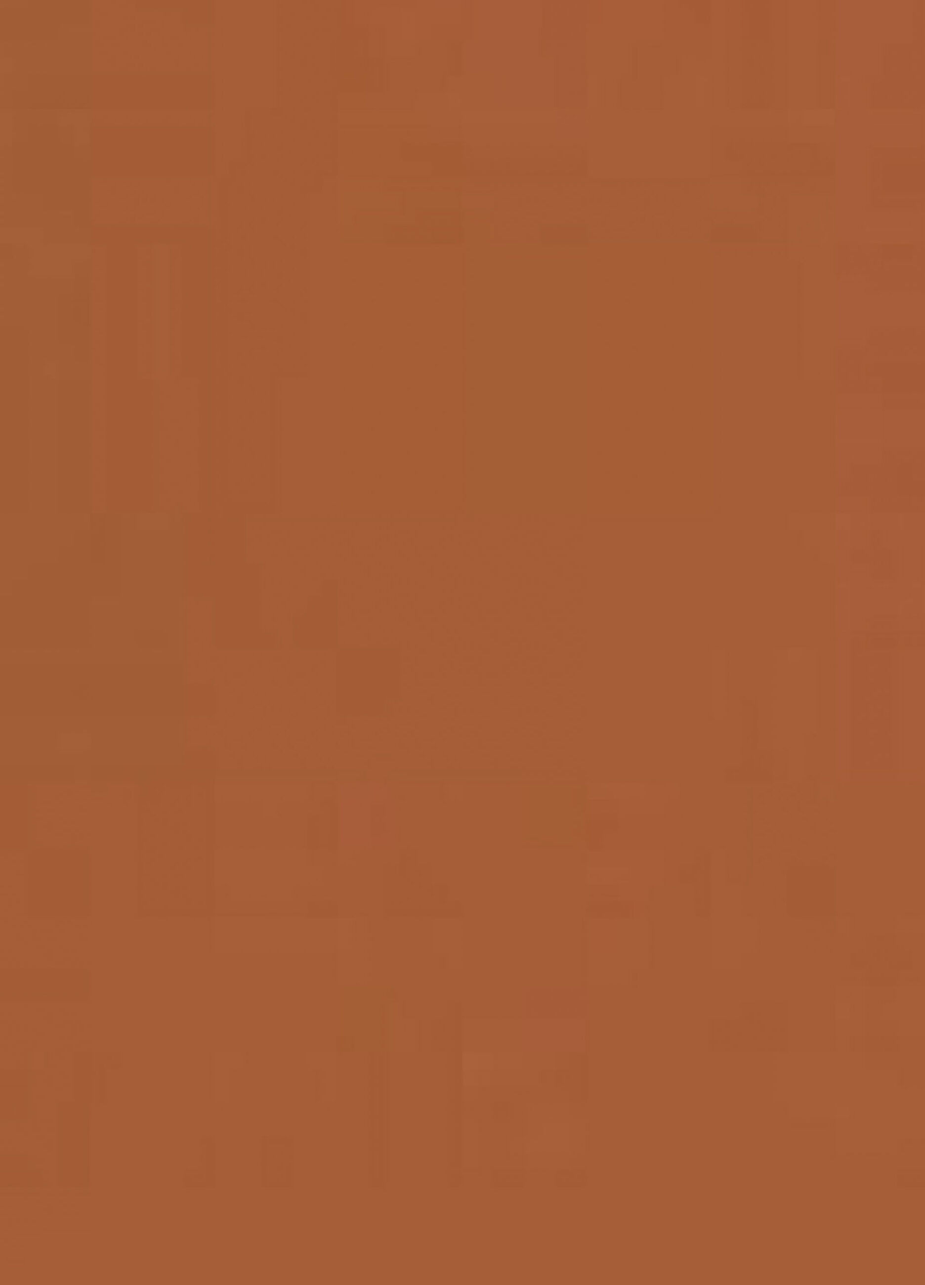 Bronzer liquido con finish opaco Sun Beam &ndash; Terracotta_4