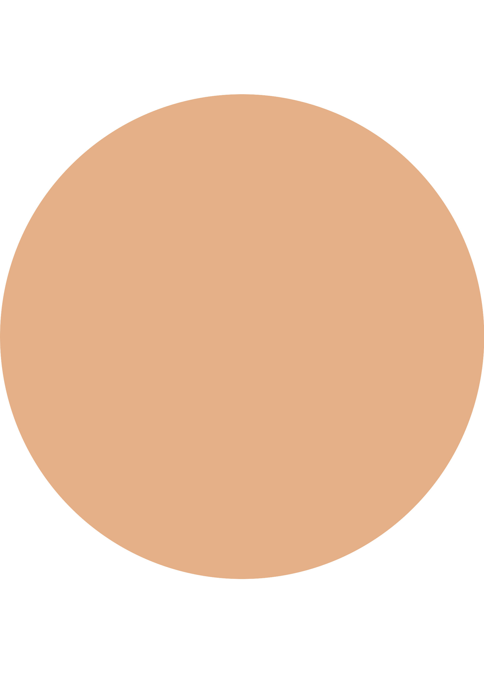 Essence COVERSTICK correttore 10_2