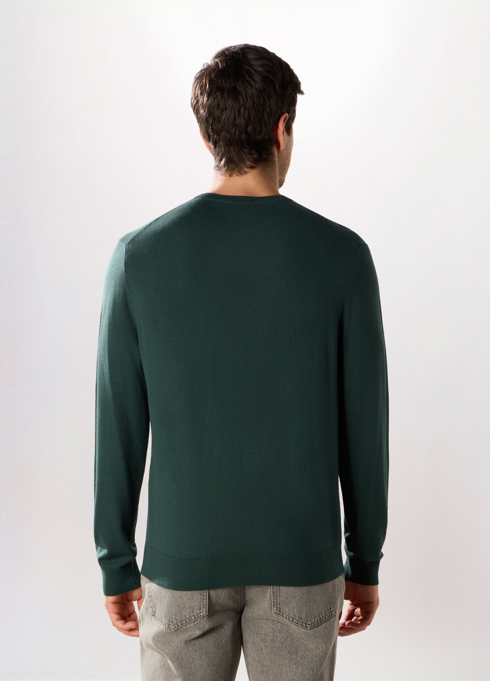 Maglione girocollo in misto viscosa uomo_1