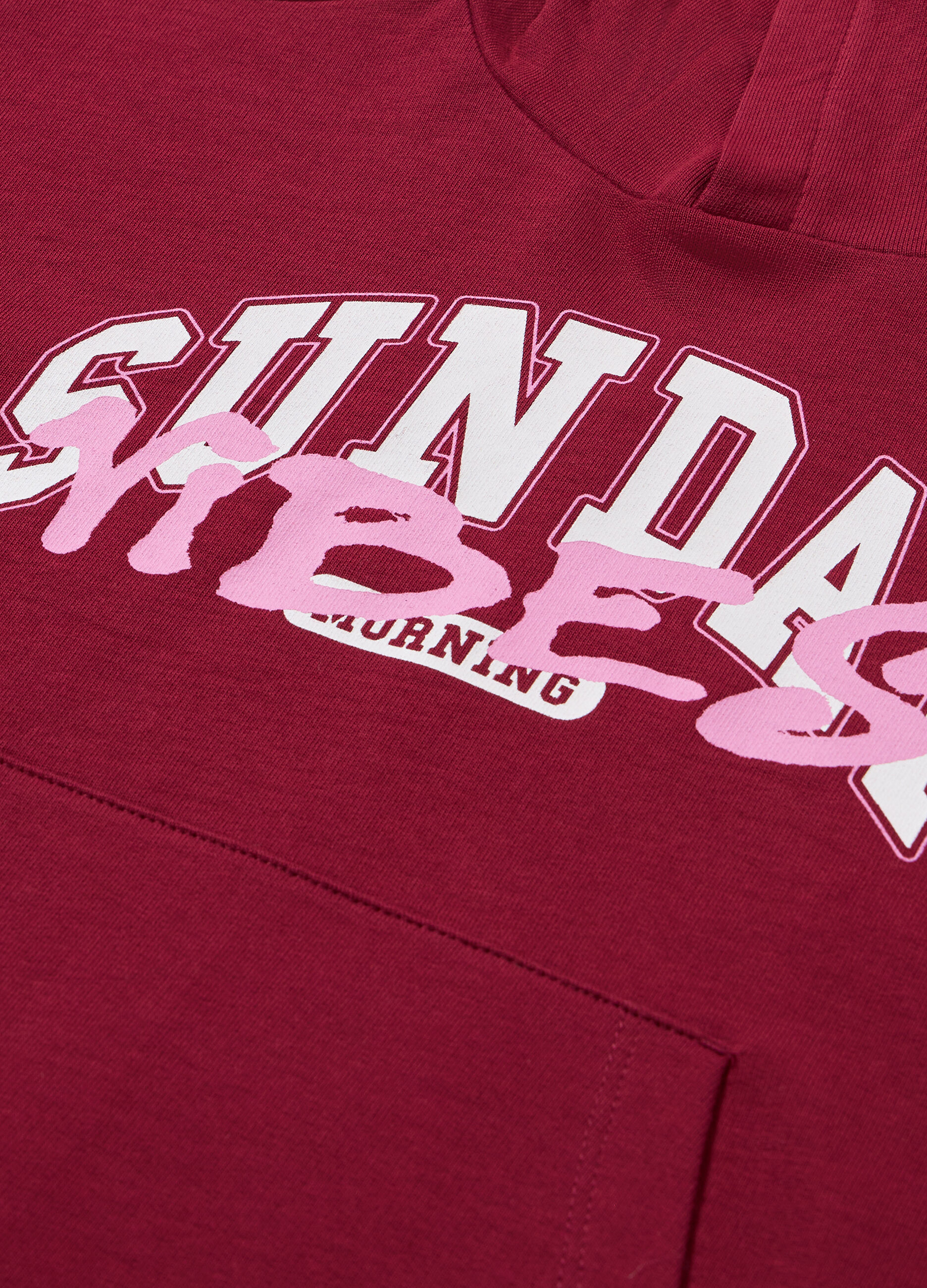 Felpa con cappuccio in puro cotone ragazza_1