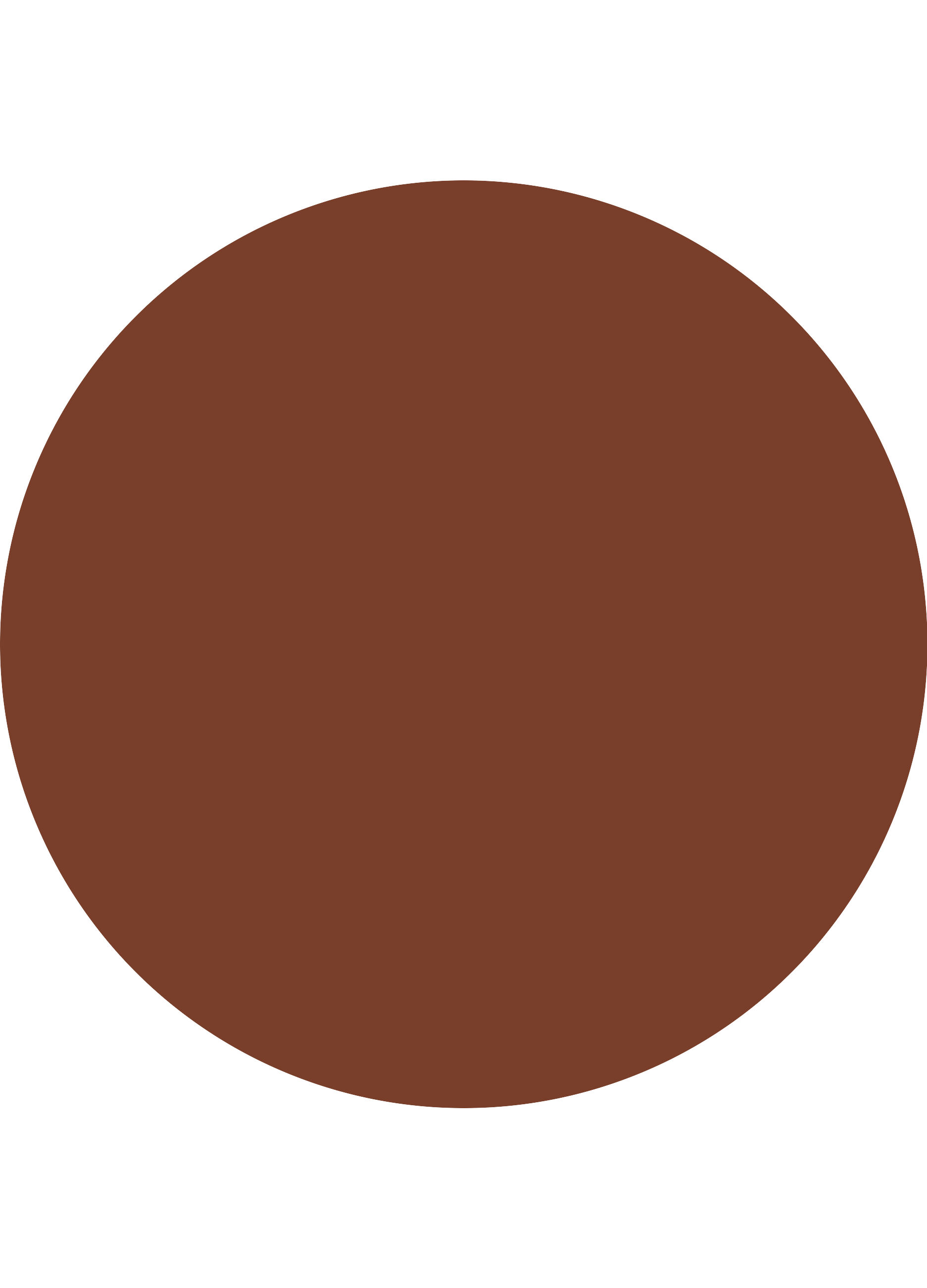 Essence CHOCO BOMB  lucidalabbra  01_3