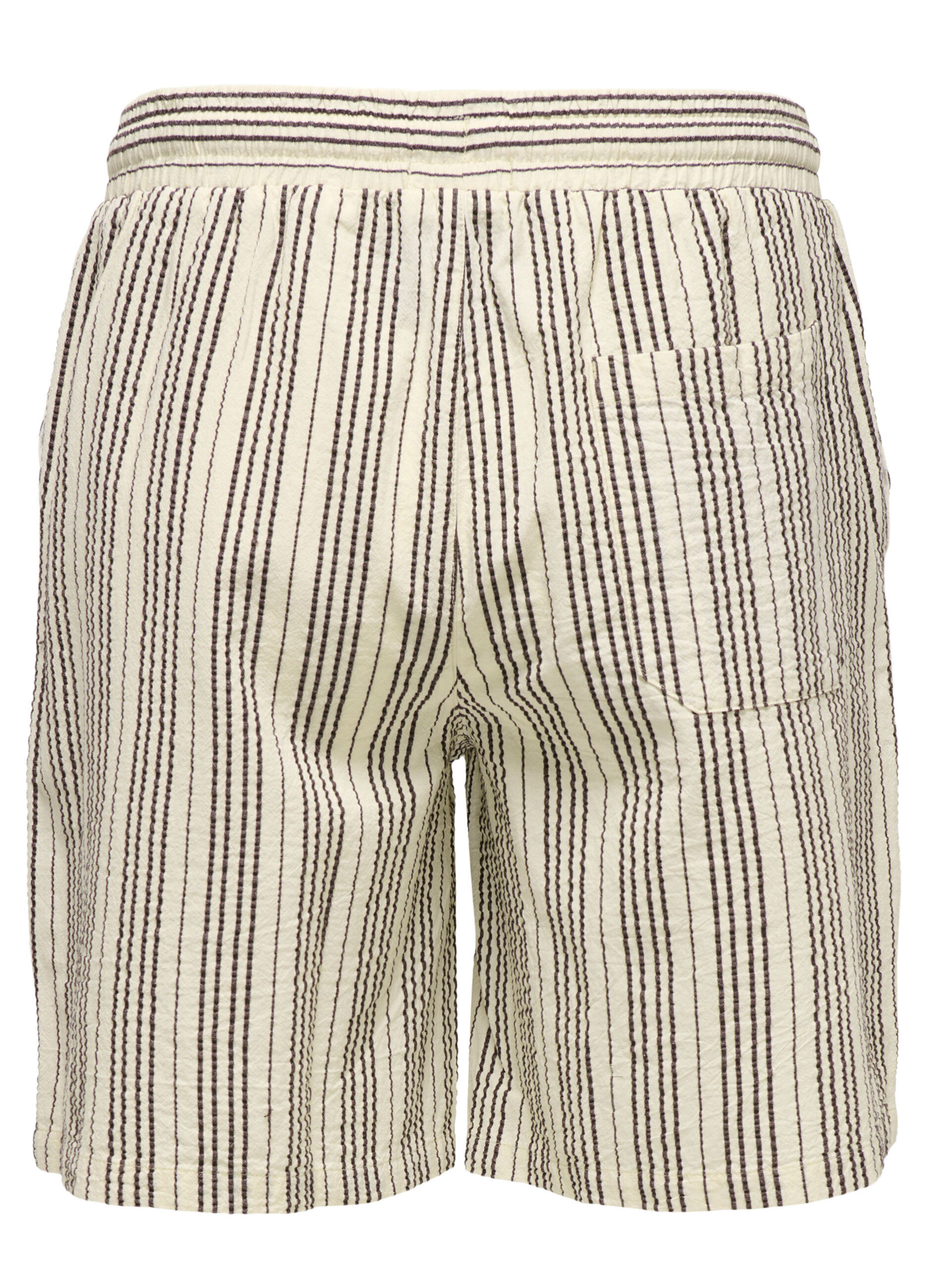 Jogger shorts_1