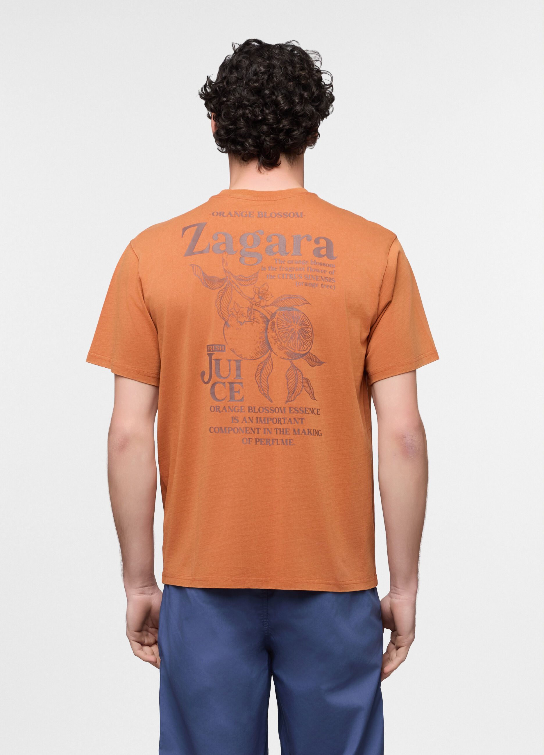 T-shirt loose fit stampa botanica uomo_1