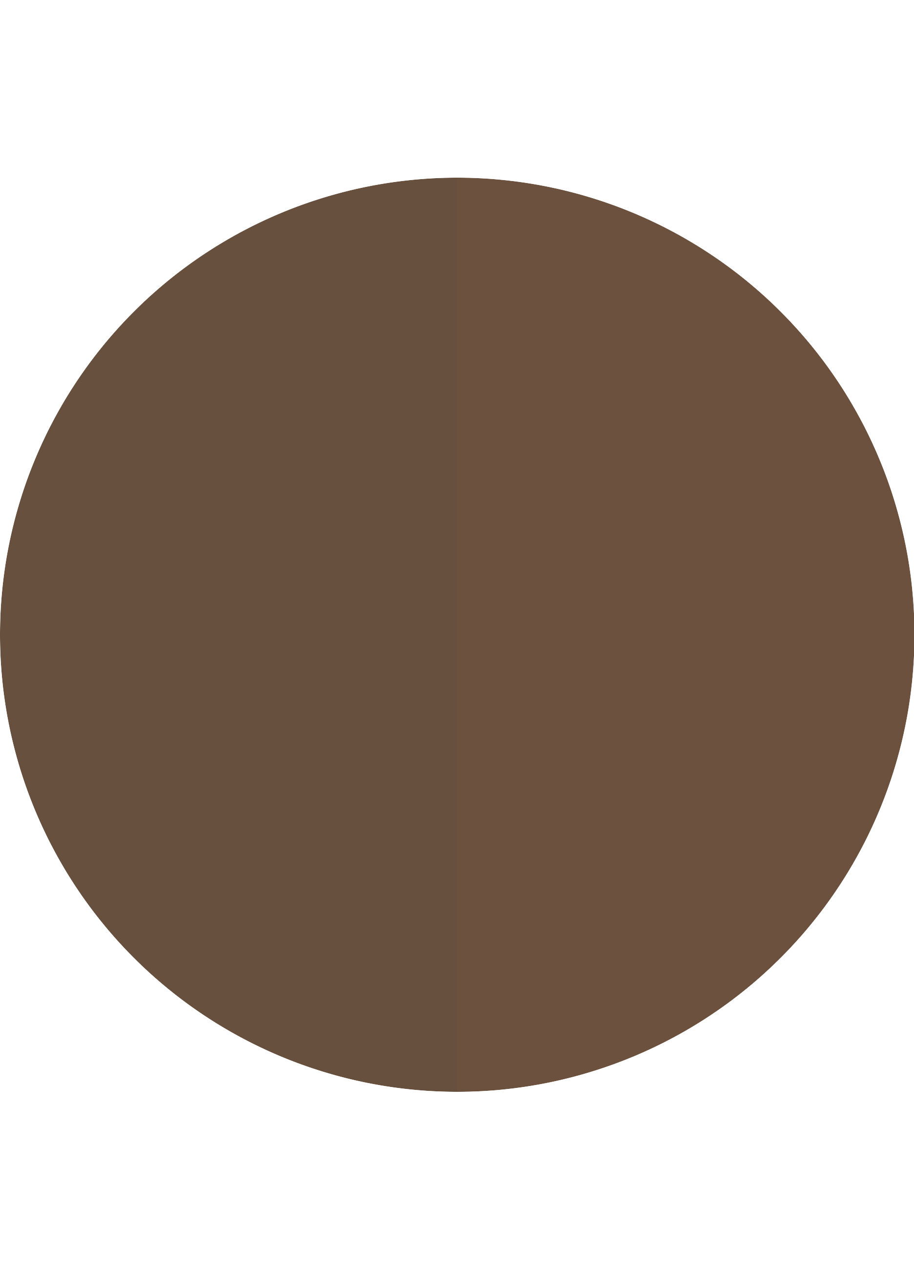 Essence BROW POWDER set duo sopracciglia 01_2