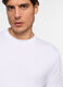 T-shirt girocollo in jersey di cotone uomo_2