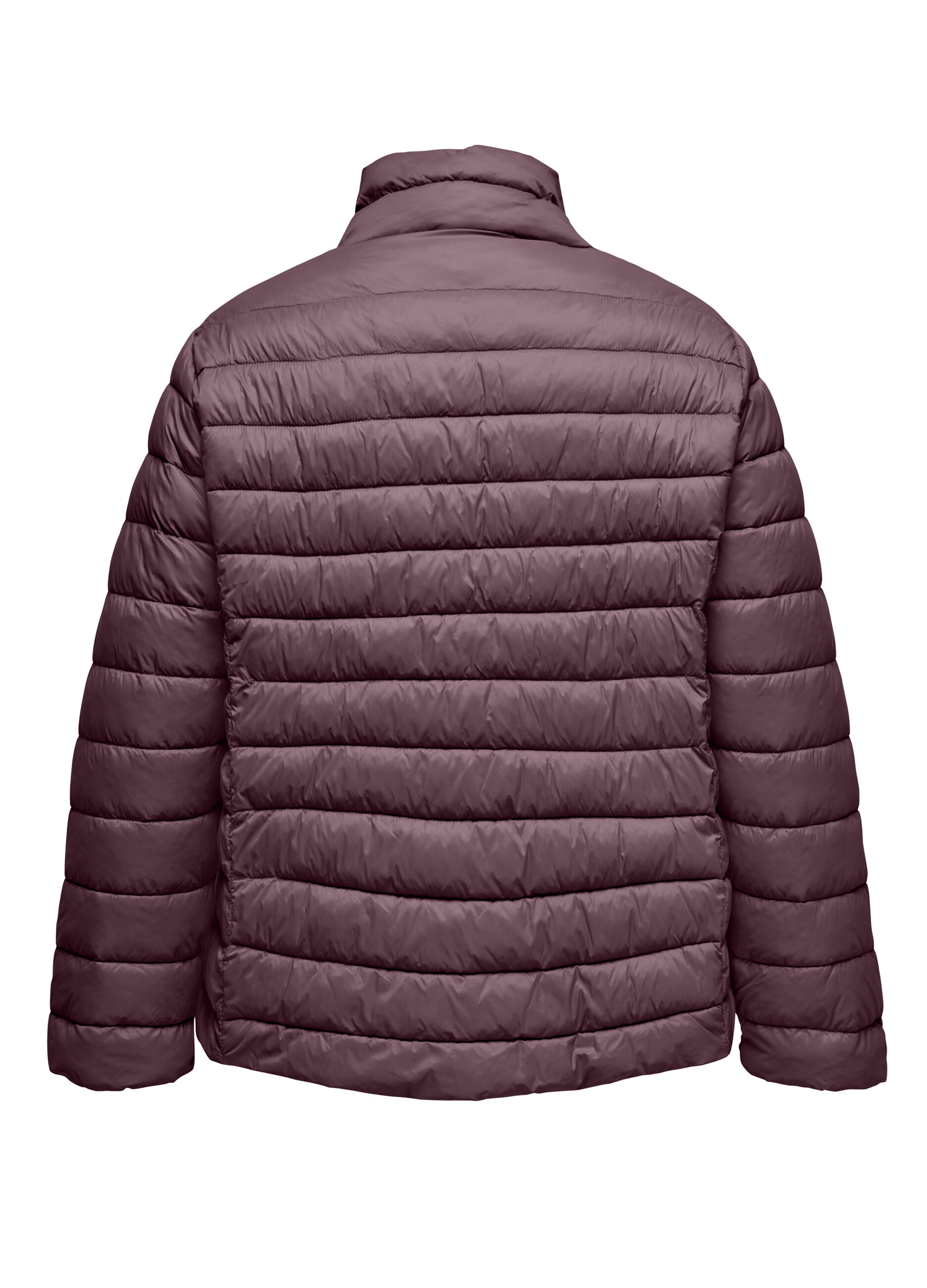 Giubbino imbottito full zip donna_1