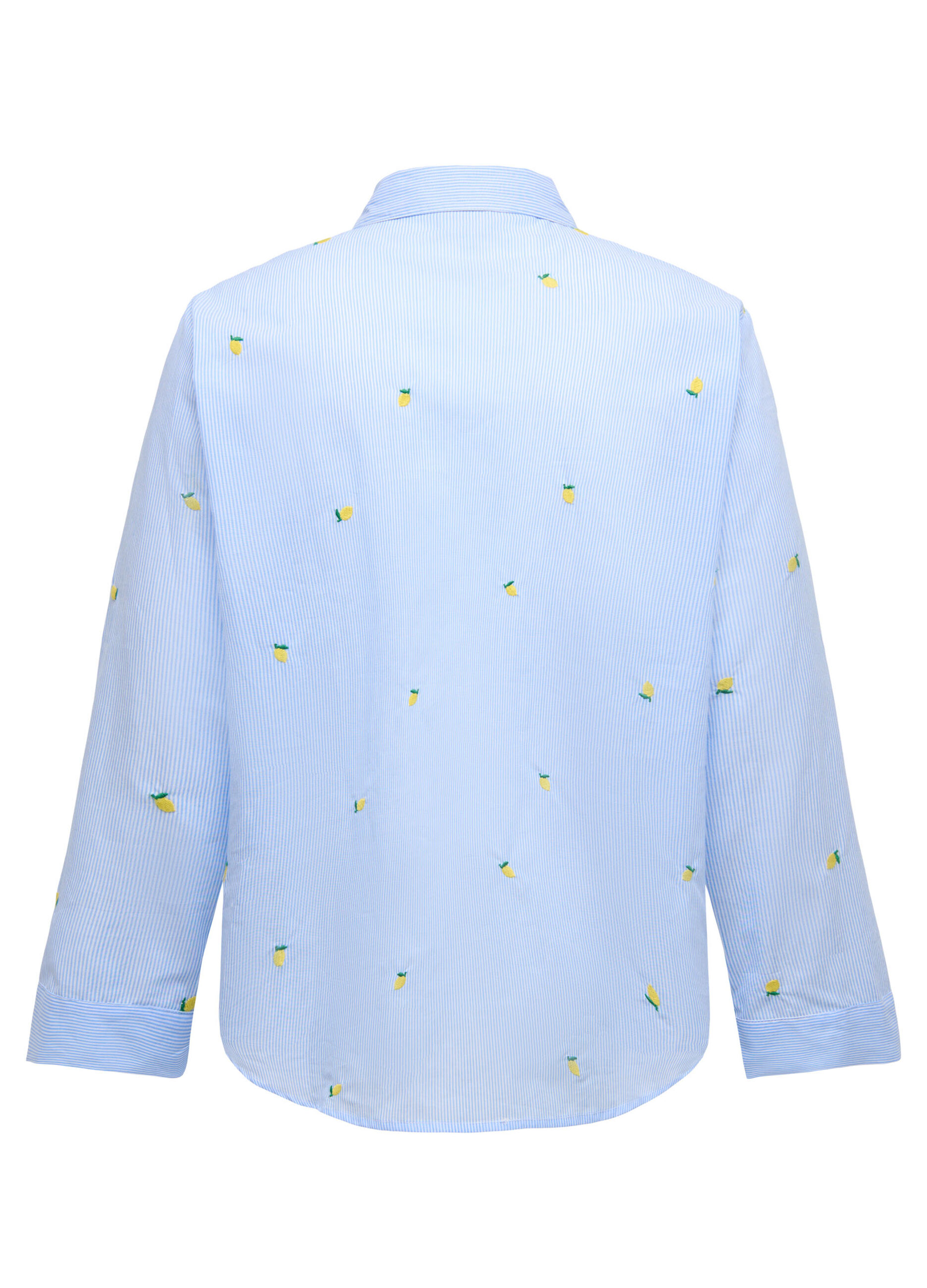 Camicia box fit_1