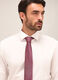 Camicia regular fit colletto francese in cotone uomo_2