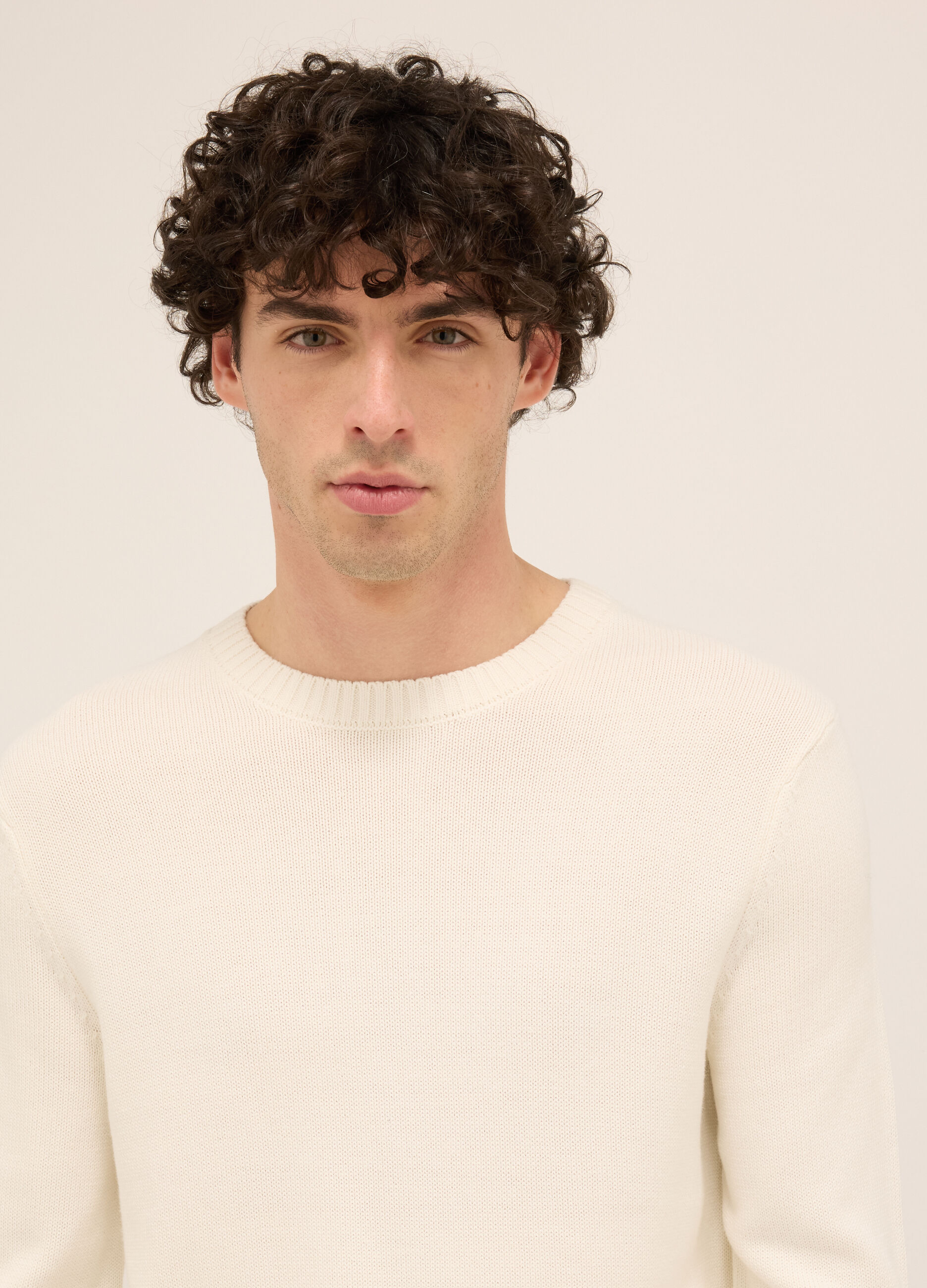 Maglione girocollo in misto cotone uomo_2