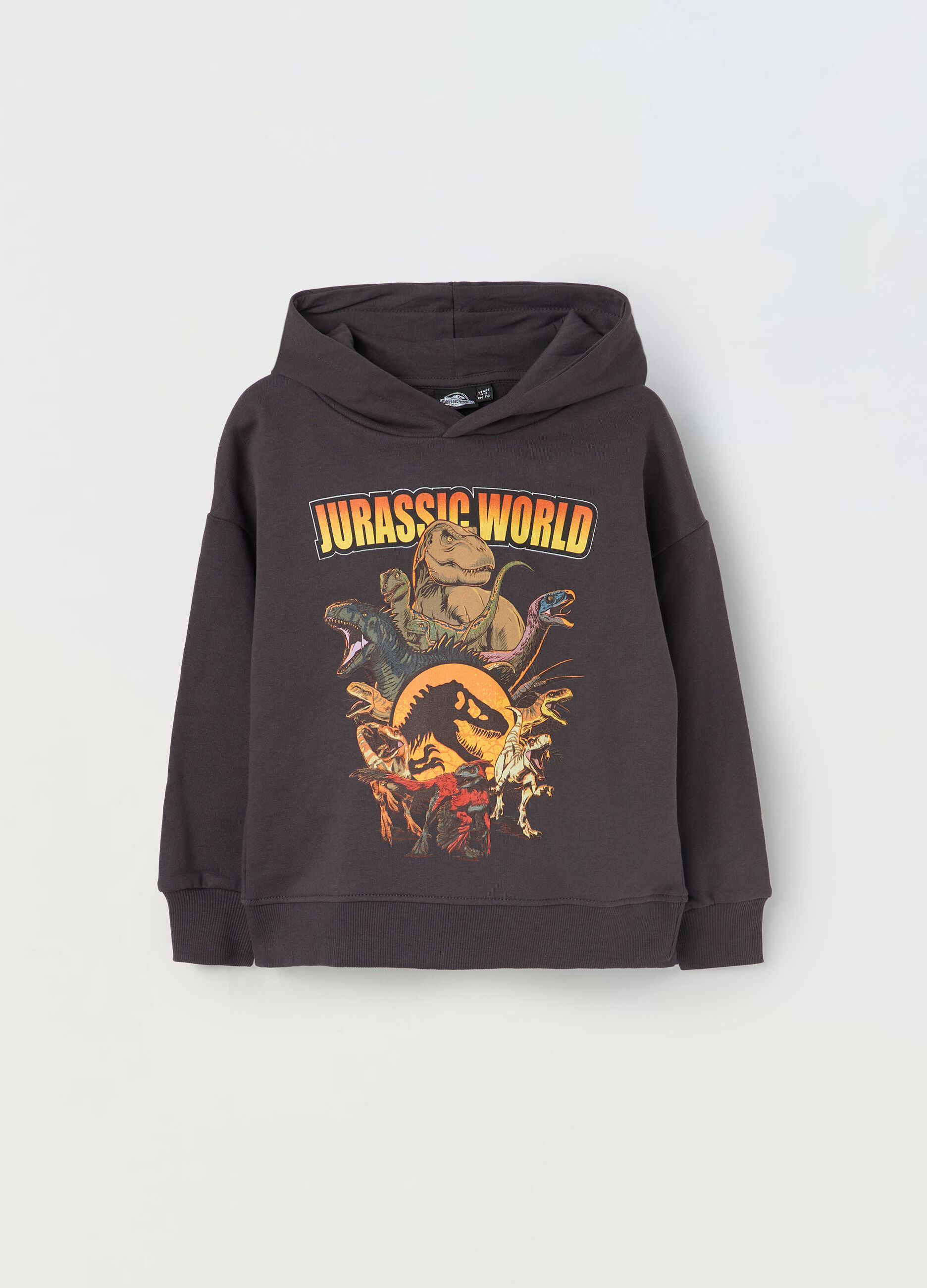 Felpa Jurassic Park con cappuccio in puro cotone bambino_0